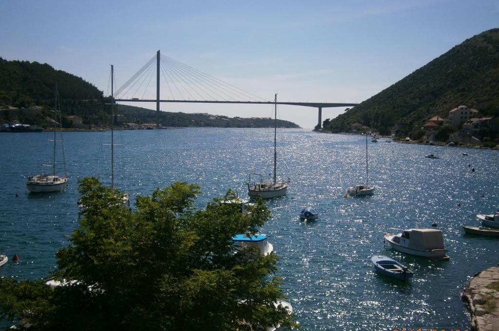 Apartments Suton Mokošica Стая снимка